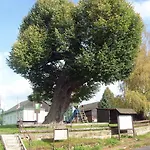 Levandule Apartament