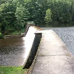 Levandule