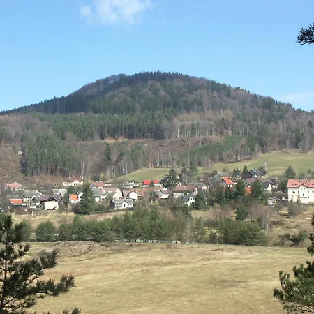 Levandule