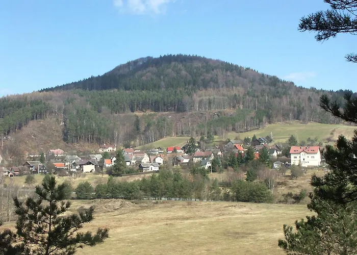 Levandule